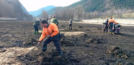 Operarios retirando elodea.