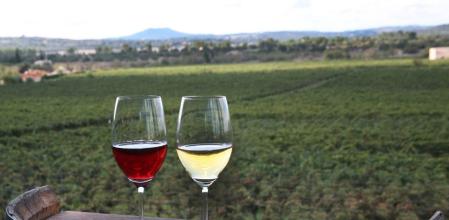 Entre 70 y 85 kcal por copa (100 ml)