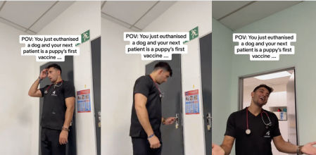 Tienen que asimilar malas noticias de manera rápida