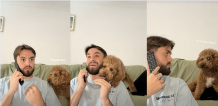 El caniche dejó un divertido momento