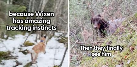 El emotivo rescate de un doberman perdido en el bosque gracias a la ayuda de una chica y su perro rastreador: “Gracias por salvarle”