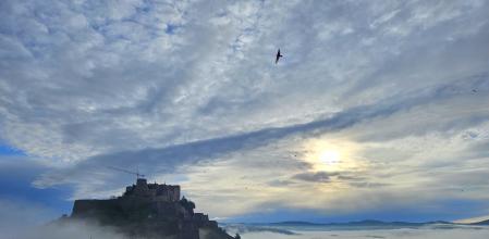 Castillo de Cardona.