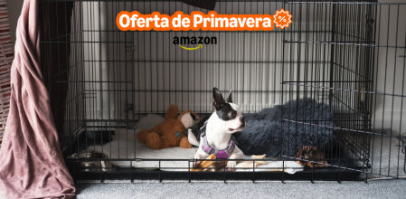 Tu mejor aliado para mantener la casa limpia y ordenada mientras tu estás fuera y tu mascota dentro.