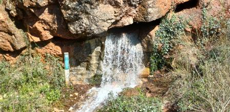 El Caus del Guitard vuelve a manar agua tras años sin hacerlo.