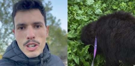 Rafael Cal, adiestrador canino