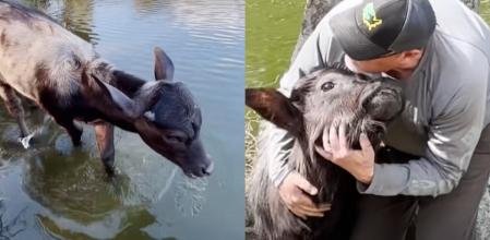 Artie y Chris son mejores amigos