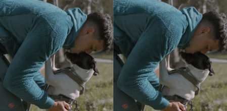 Rafael Cal Estrela, adiestrador canino