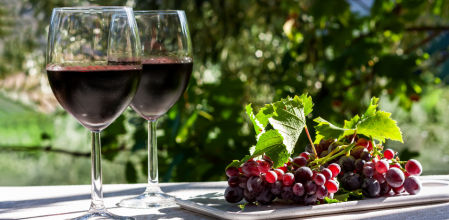 Las denominaciones de origen de España que están revolucionando el mundo del vino