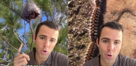 El veterinario clínico Tomás Palomares en su publicación de TikTok