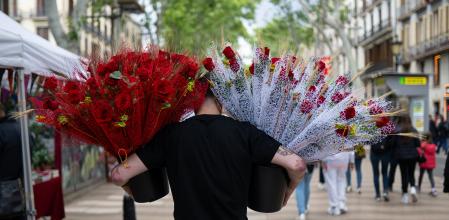 Un hombre con rosas decenas de rosas rojas el día de Sant Jordi en Barcelona, Catalunya (España)