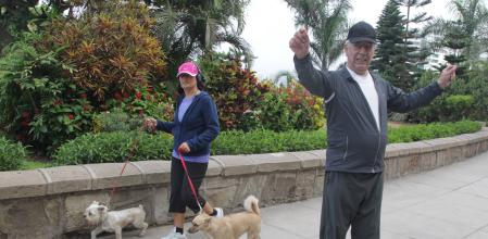 El deporte.Mario Vargas Llosa realiza estiramientos, en una calle de Lima, en el año 2014, antes de iniciar su habitual recorrido deportivo por la ciudad.