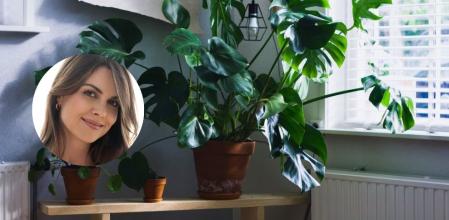 La experta en decoración Patricia Fernández aconseja optar por las plantas para decorar el hogar.