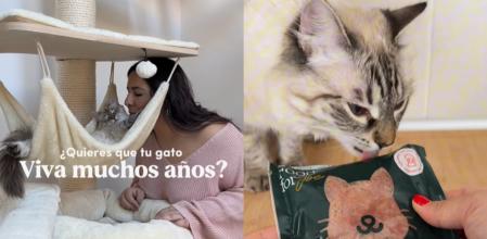 La experta en salud felina recomienda a sus seguidores cuidar de sus mascotas