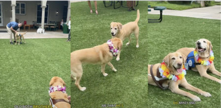 La alegría al verse habla por sí misma