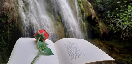 Libro y rosa en el Salt de la Caula.