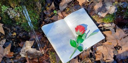 Font formatget mura.