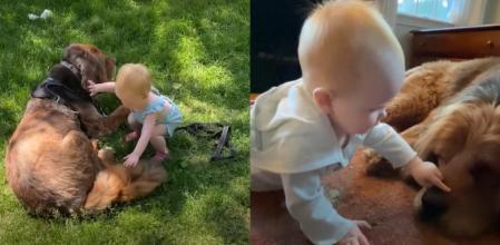 Se han convertido en grandes amigos