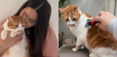 Desirèe Olmeda y su consejo ante las bolas de pelo