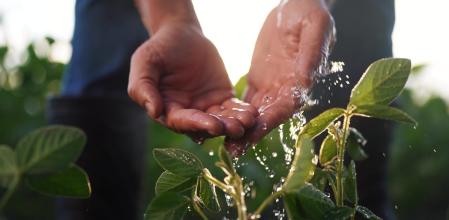 El reto de regenerar las aguas residuales para usarlas en agricultura