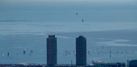 Las golondrinas ya vuelan sobre Barcelona.