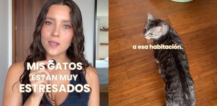 La veterinaria Laura Londoño en su vídeo de Instagram