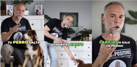 Hay cuatro puntos básicos para cambiar esto