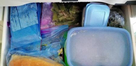 Imagen de archivo de un congelador