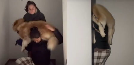 Una de las propietarias carga a su perro de 30 kilos por las escaleras tras el apagón masivo en España