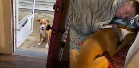 Willie tenía miedo de entrar o salir de la vivienda