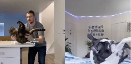 La diferencia es abismal