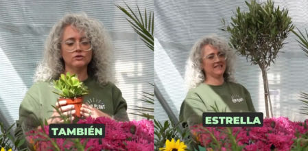 “Si eres olvidadizo, las suculentas pueden funcionar muy bien en tus espacios exteriores” – Paula, de Pur Plant