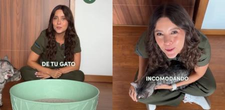 Laura Londoño desvela los motivos por los que tu gato puede estar orinando fuera del arenero