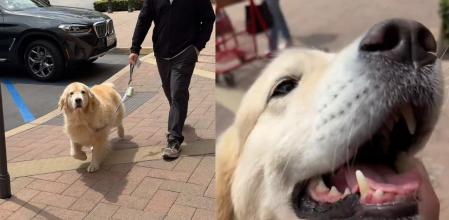 Maui en un momento del vídeo