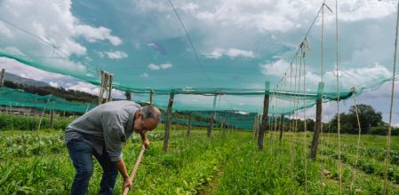 Planeses, finca de Marc Gràcia, investigador del CREAF y responsable de la finca Planeses.