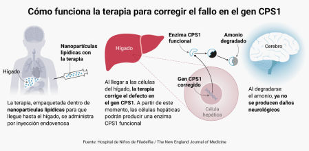 Cómo funciona la terapia de edición genética personalizada