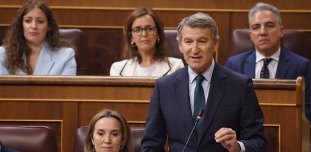 El lider de la oposición y presidente del PP, Alberto Núñez Feijóo, durante una sesión de control al Gobierno, en el Congreso de los Diputados