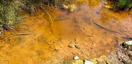 Este curioso Torrente Salado se encuentra en Avinyó.