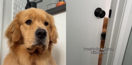 El pequeño Zebby y sus manías