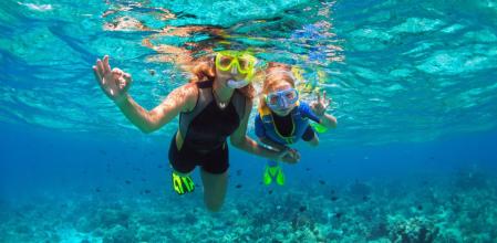 Disfruta del snorkeling y explora las profundidades del mar con seguridad
