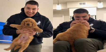 Lo sienta sobre las piernas con un cuidado casi paternal, lo acaricia como si llevara años esperándolo y le dedica una atención que demuestra que, desde ese instante, el perro forma parte de su vida