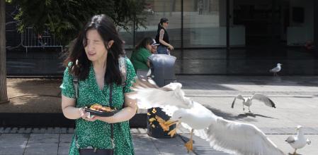La gaviota en cuestión se hace con un gambón de la turista
