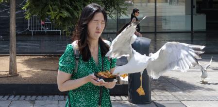 Ataque de una gaviota a una turista, para arrebatarle la comida que acaba de comprar en el Mercat de la Boqueria 