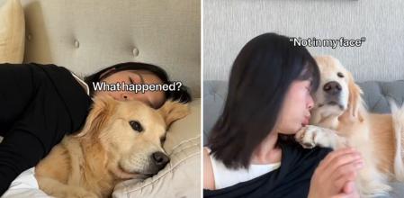 La divertida escena que enseña a una chica comportarse igual que lo hace su golden retriever: “Esto es demasiado bueno”