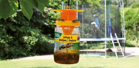 Trampa contra las avispas para el jardín de tu casa