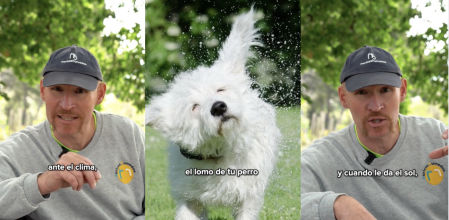 Podría generar efecto lupa