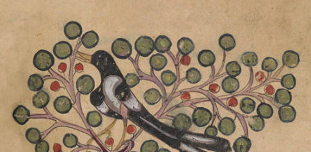 Ilustración de pájaro de un bestiario árabe medieval (c. 1200)