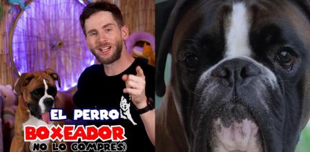 El experto canino Ninja Skadi