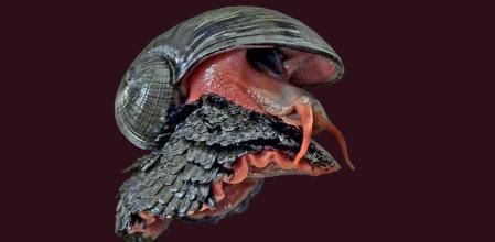 El caracol volcánico cuenta con una armadura de hierro sobre su concha.