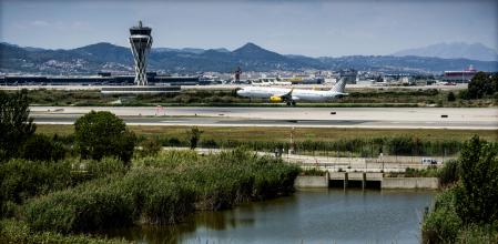 La ampliación del aeropuerto de El Prat obligará a cambiar la delimitación de la laguna de la Ricarda