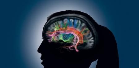 Existen alimentos y suplementos que ayudan a potenciar la memoria